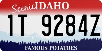 ID license plate 1T9284Z