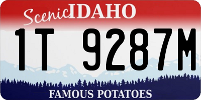 ID license plate 1T9287M