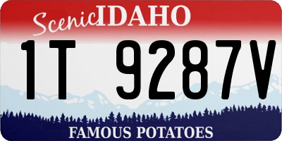 ID license plate 1T9287V