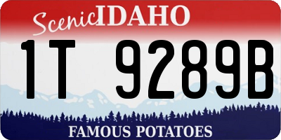 ID license plate 1T9289B