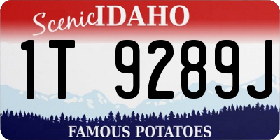 ID license plate 1T9289J