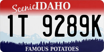 ID license plate 1T9289K