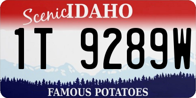 ID license plate 1T9289W