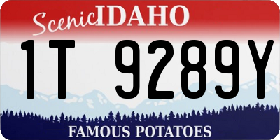 ID license plate 1T9289Y