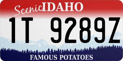 ID license plate 1T9289Z