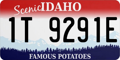 ID license plate 1T9291E