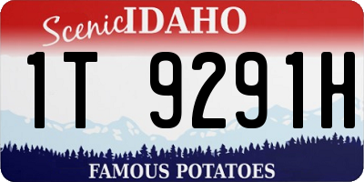 ID license plate 1T9291H