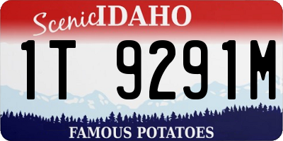 ID license plate 1T9291M