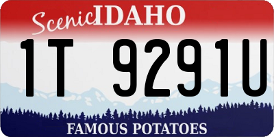 ID license plate 1T9291U
