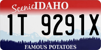ID license plate 1T9291X