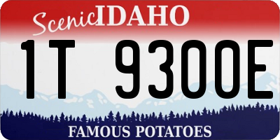 ID license plate 1T9300E