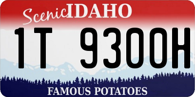 ID license plate 1T9300H