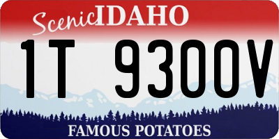 ID license plate 1T9300V