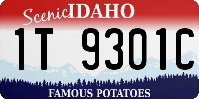 ID license plate 1T9301C