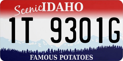 ID license plate 1T9301G