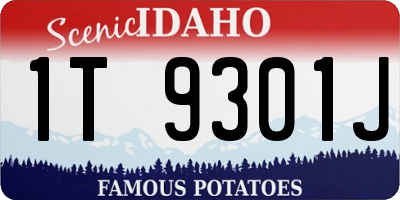 ID license plate 1T9301J