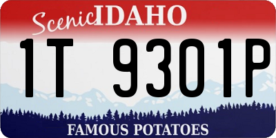 ID license plate 1T9301P
