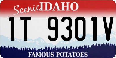 ID license plate 1T9301V