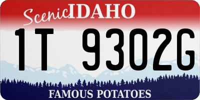 ID license plate 1T9302G