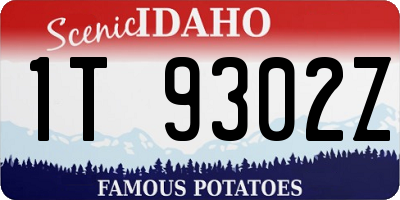 ID license plate 1T9302Z