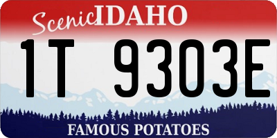 ID license plate 1T9303E