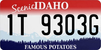 ID license plate 1T9303G