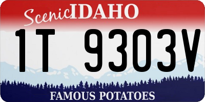 ID license plate 1T9303V