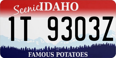 ID license plate 1T9303Z