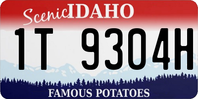 ID license plate 1T9304H