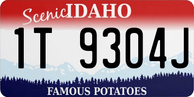 ID license plate 1T9304J
