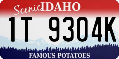 ID license plate 1T9304K
