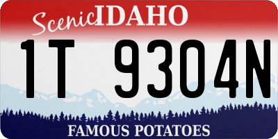 ID license plate 1T9304N
