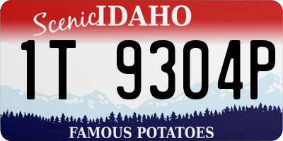 ID license plate 1T9304P