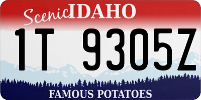 ID license plate 1T9305Z