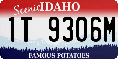 ID license plate 1T9306M