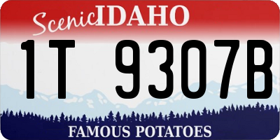 ID license plate 1T9307B