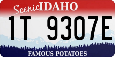 ID license plate 1T9307E