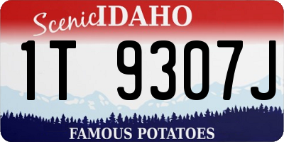 ID license plate 1T9307J