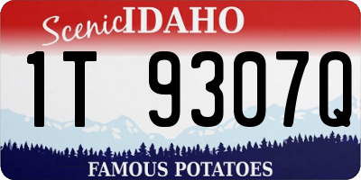 ID license plate 1T9307Q