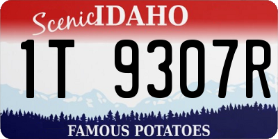ID license plate 1T9307R