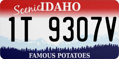 ID license plate 1T9307V