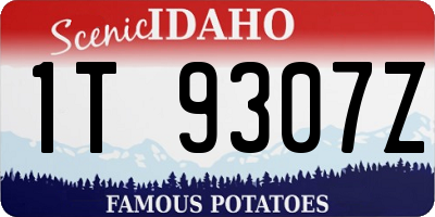 ID license plate 1T9307Z