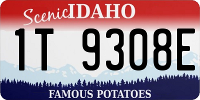 ID license plate 1T9308E
