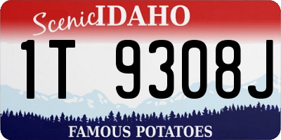 ID license plate 1T9308J