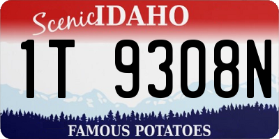 ID license plate 1T9308N