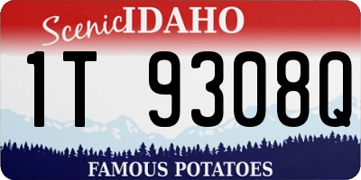 ID license plate 1T9308Q