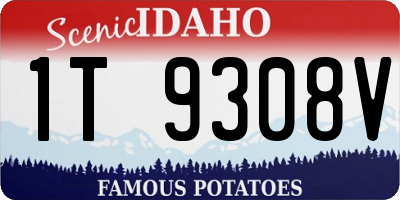 ID license plate 1T9308V