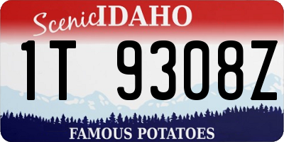 ID license plate 1T9308Z