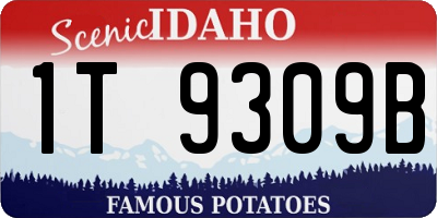 ID license plate 1T9309B