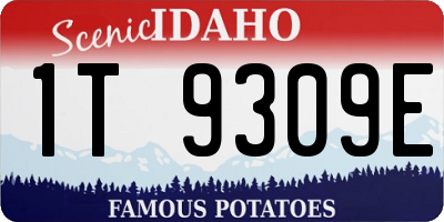 ID license plate 1T9309E